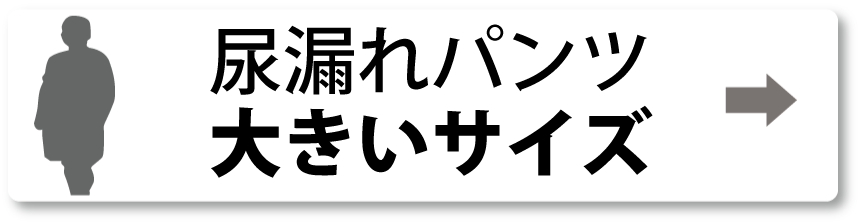 シニアファッションＧ＆Ｂ　高齢者　尿漏れパンツ　大きいサイズ